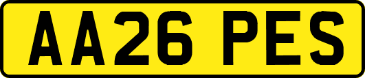 AA26PES