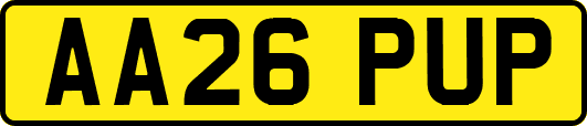 AA26PUP