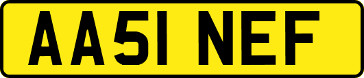 AA51NEF