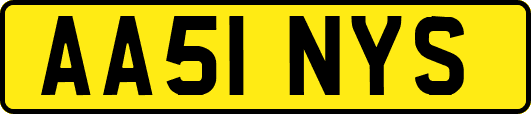 AA51NYS