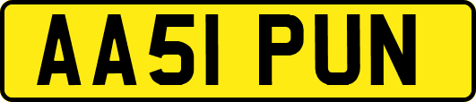 AA51PUN