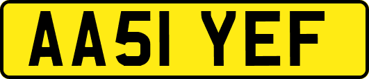 AA51YEF