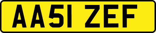 AA51ZEF