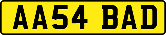 AA54BAD