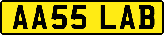 AA55LAB