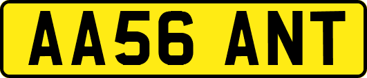 AA56ANT