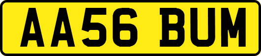 AA56BUM