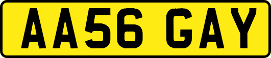 AA56GAY