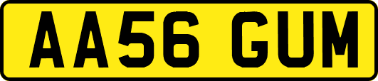 AA56GUM