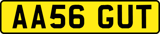 AA56GUT