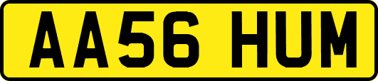 AA56HUM
