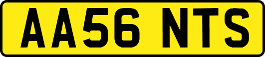 AA56NTS