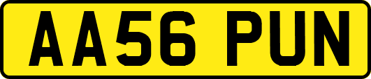 AA56PUN