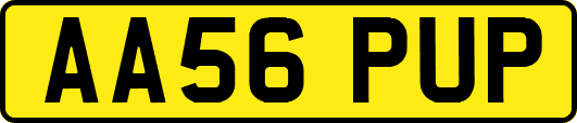 AA56PUP