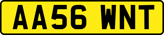 AA56WNT