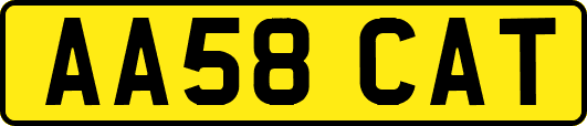 AA58CAT