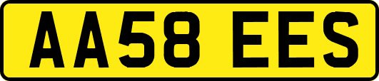 AA58EES