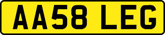 AA58LEG