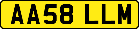 AA58LLM