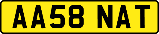 AA58NAT