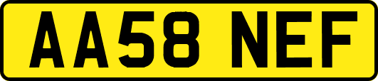 AA58NEF