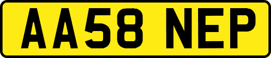 AA58NEP
