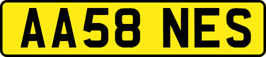 AA58NES
