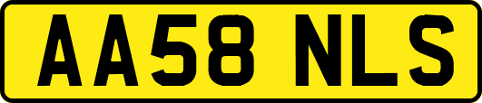 AA58NLS