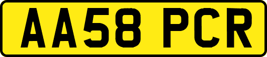 AA58PCR