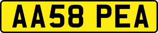 AA58PEA
