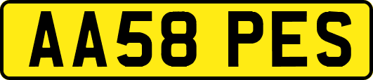AA58PES