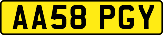AA58PGY