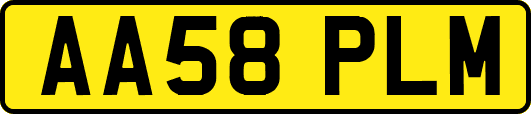 AA58PLM