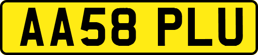 AA58PLU