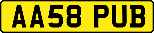 AA58PUB