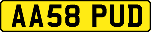 AA58PUD