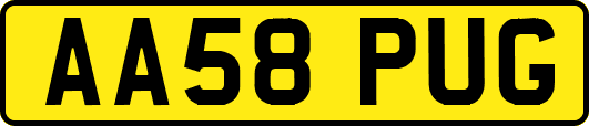 AA58PUG