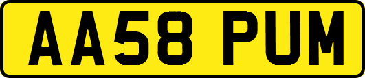 AA58PUM