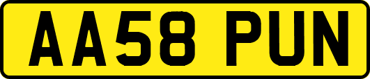 AA58PUN