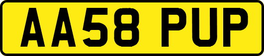 AA58PUP