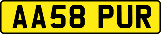 AA58PUR