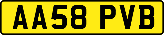 AA58PVB