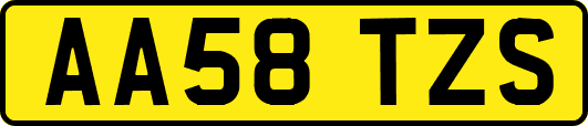 AA58TZS