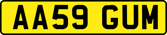 AA59GUM