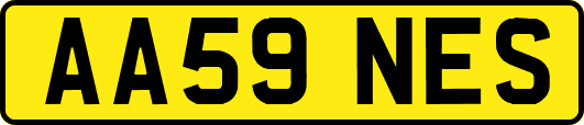 AA59NES