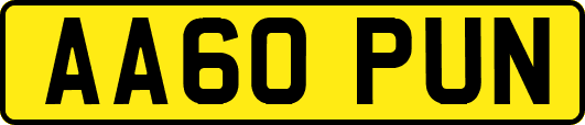AA60PUN