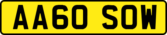 AA60SOW