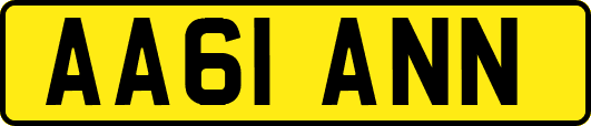 AA61ANN