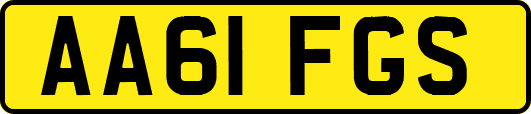 AA61FGS