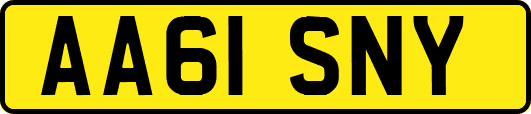 AA61SNY